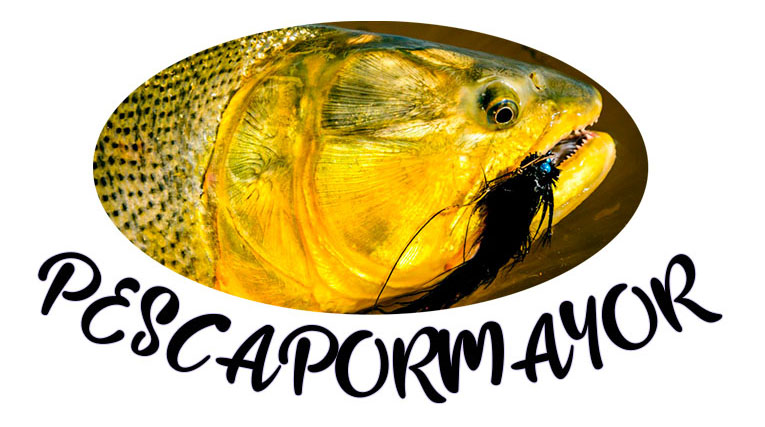 Pesca por mayor